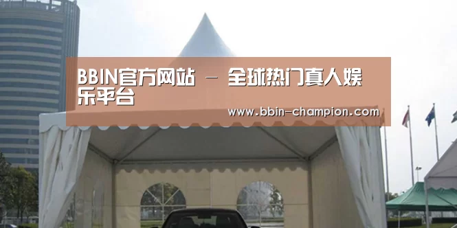案例标题八