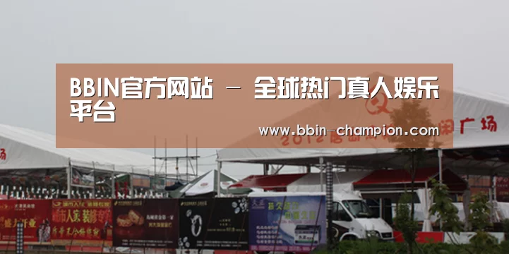 案例标题十