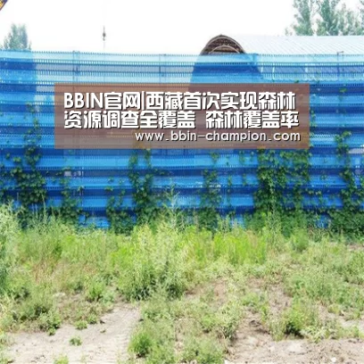 BBIN视讯