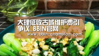 大理征收古城维护费引争议_BBIN官网(图1) BBIN官网