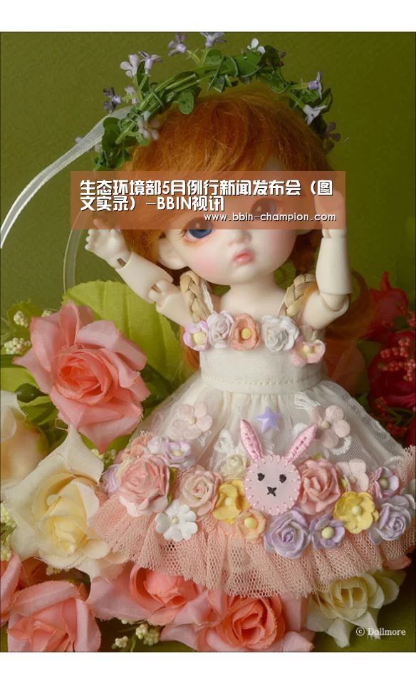 生态环境部5月例行新闻发布会(图文实录)-BBIN视讯(图2) BBIN官网