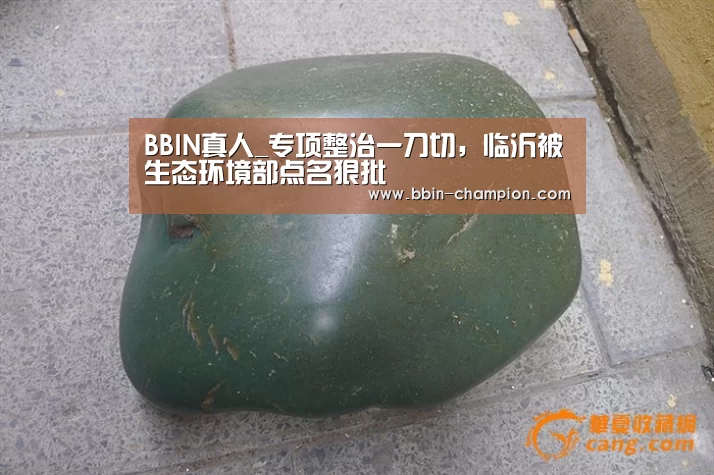 BBIN真人_专项整治一刀切,临沂被生态环境部点名狠批(图1) BBIN视讯