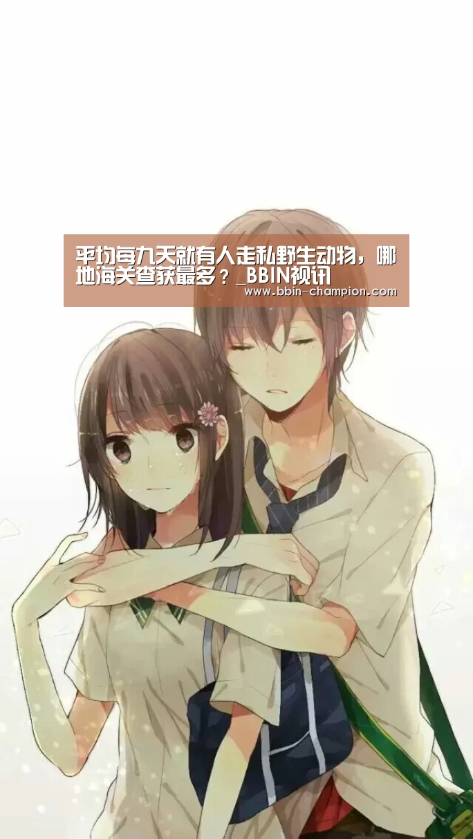 BBIN百家乐