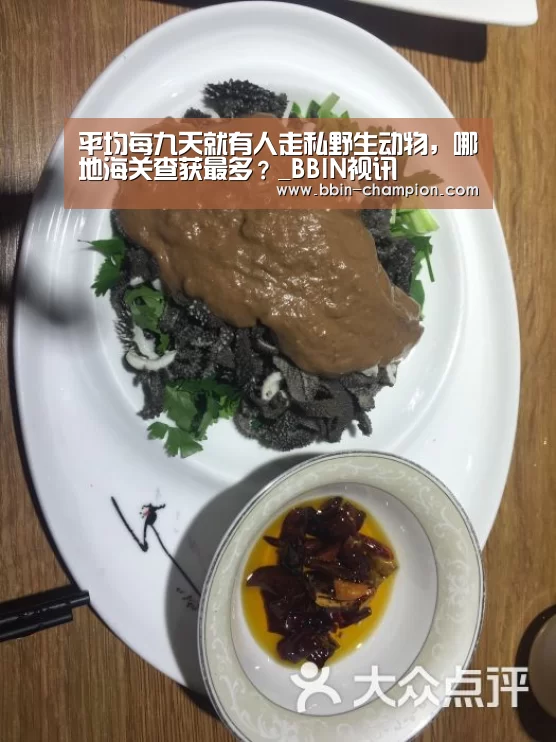 BBIN视讯