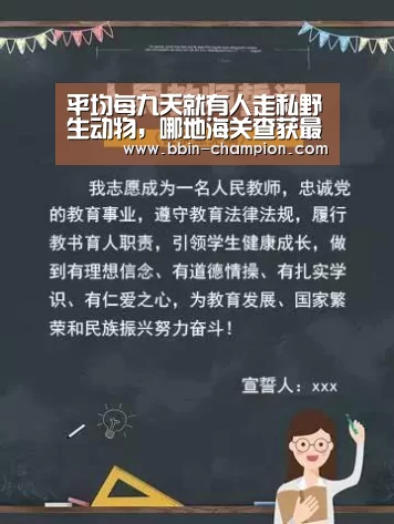 BBIN百家乐