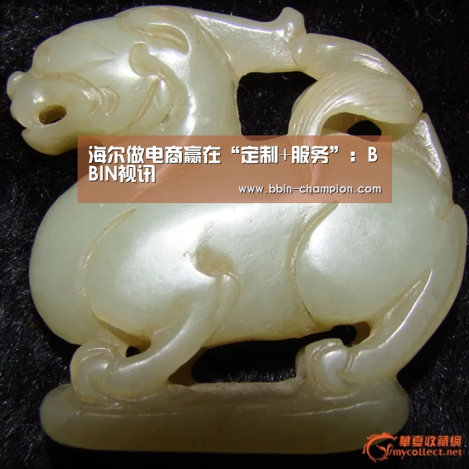海尔做电商赢在“定制+服务”:BBIN视讯(图1) BBIN视讯