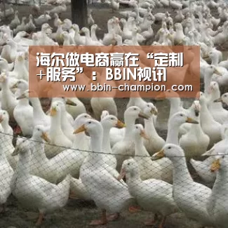 海尔做电商赢在“定制+服务”:BBIN视讯(图2) BBIN真人